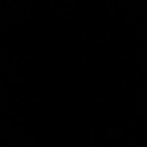 Meet your Posher, Celina