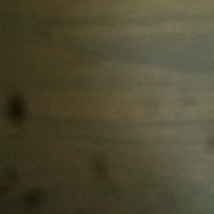 Meet your Posher, Maggie