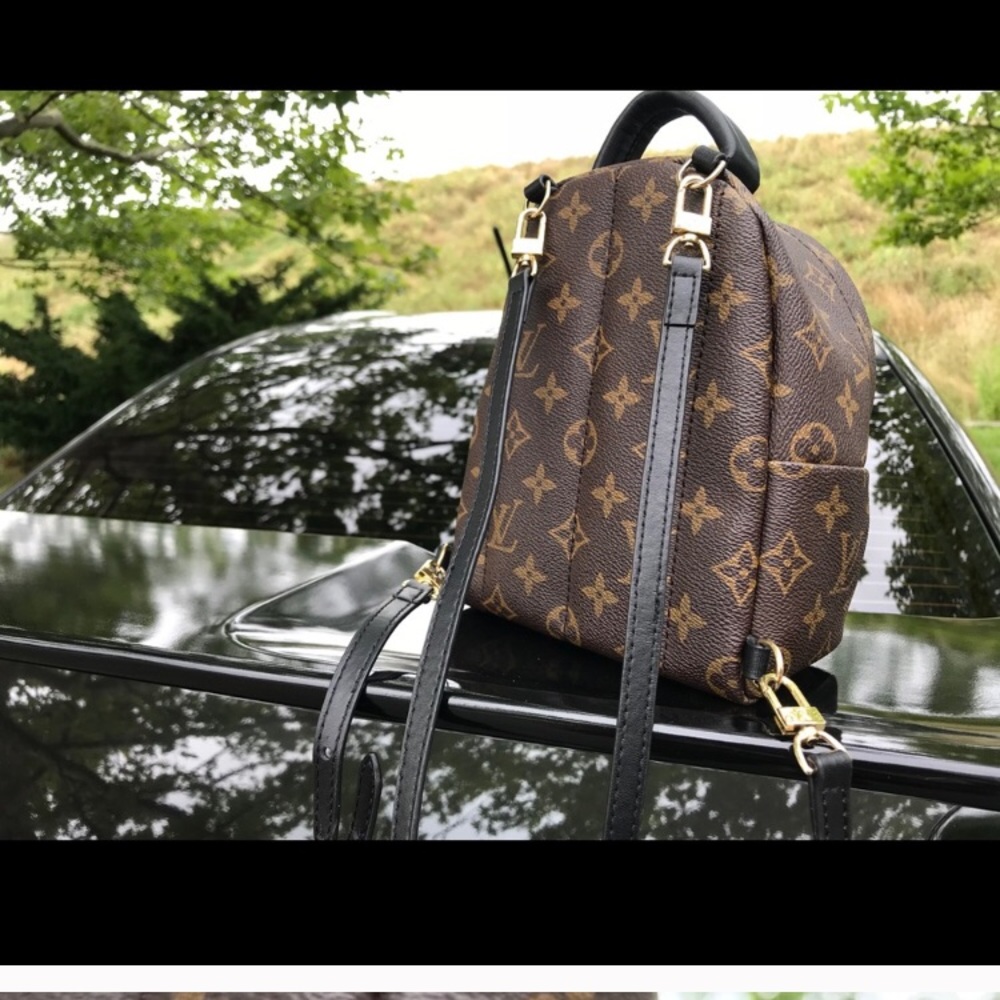 Louis Vuitton bag