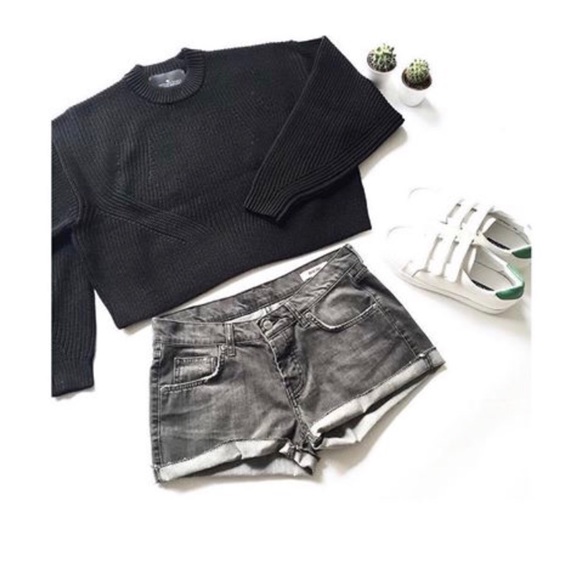 anine bing denim shorts