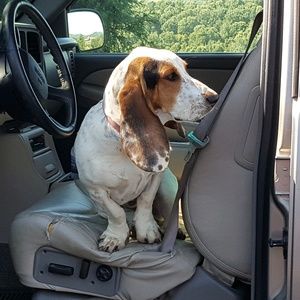 Meet your Posher, Cindy