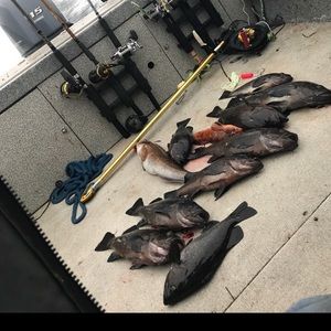 Meet your Posher, Blake