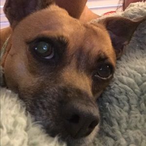 Meet your Posher, Mary