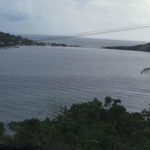 Meet your Posher, Penny