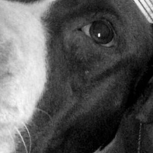 Meet your Posher, Alina