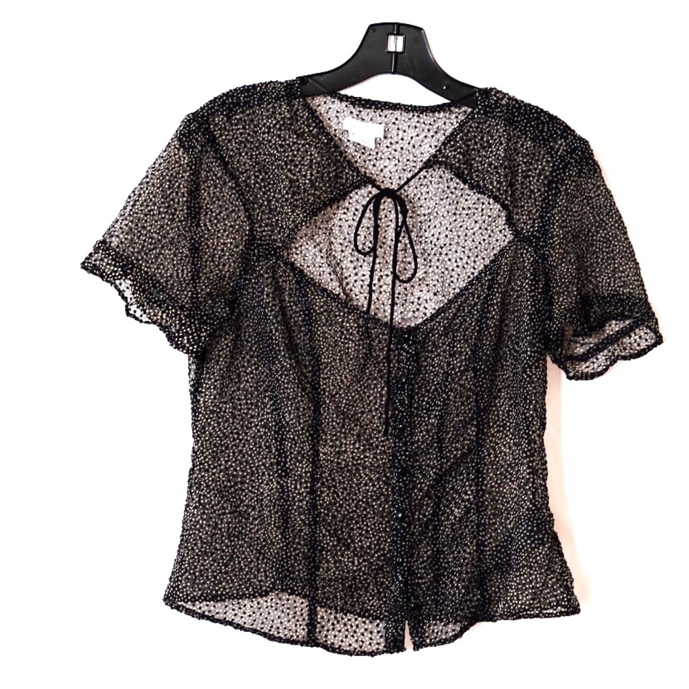 Urban outfitter sheer black blouse