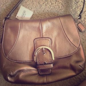 Bronze Coach purse