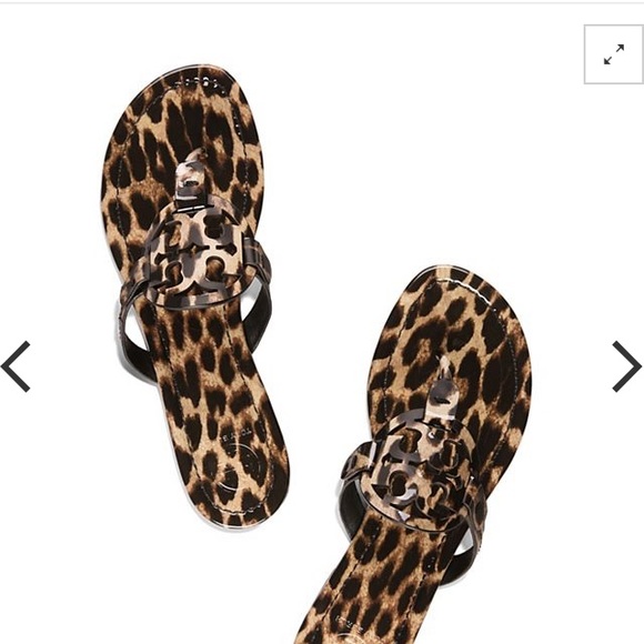 Meet your Posher, Tammy - Picture 1 of 1