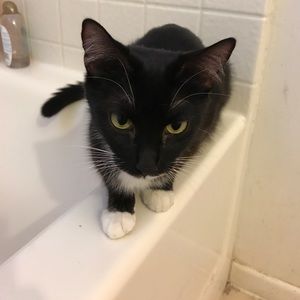 Meet your Posher, Mike