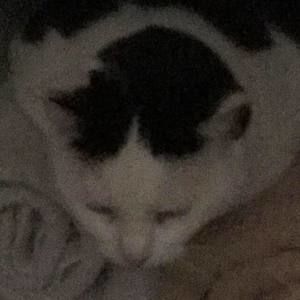 Meet your Posher, Joshua