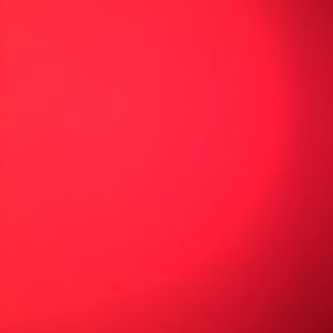 Meet your Posher, Tamara