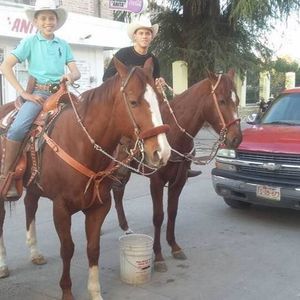 Meet your Posher, Alex