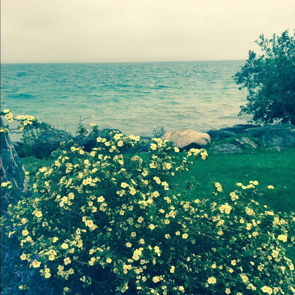 Meet your Posher, Lily