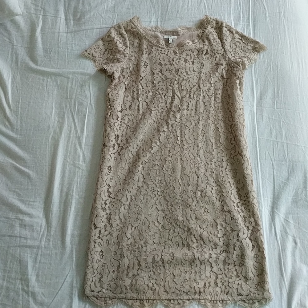 Joie cream lace shift dress XS