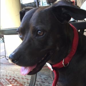 Meet your Posher, Marie