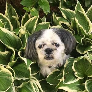 Meet your Posher, Debra