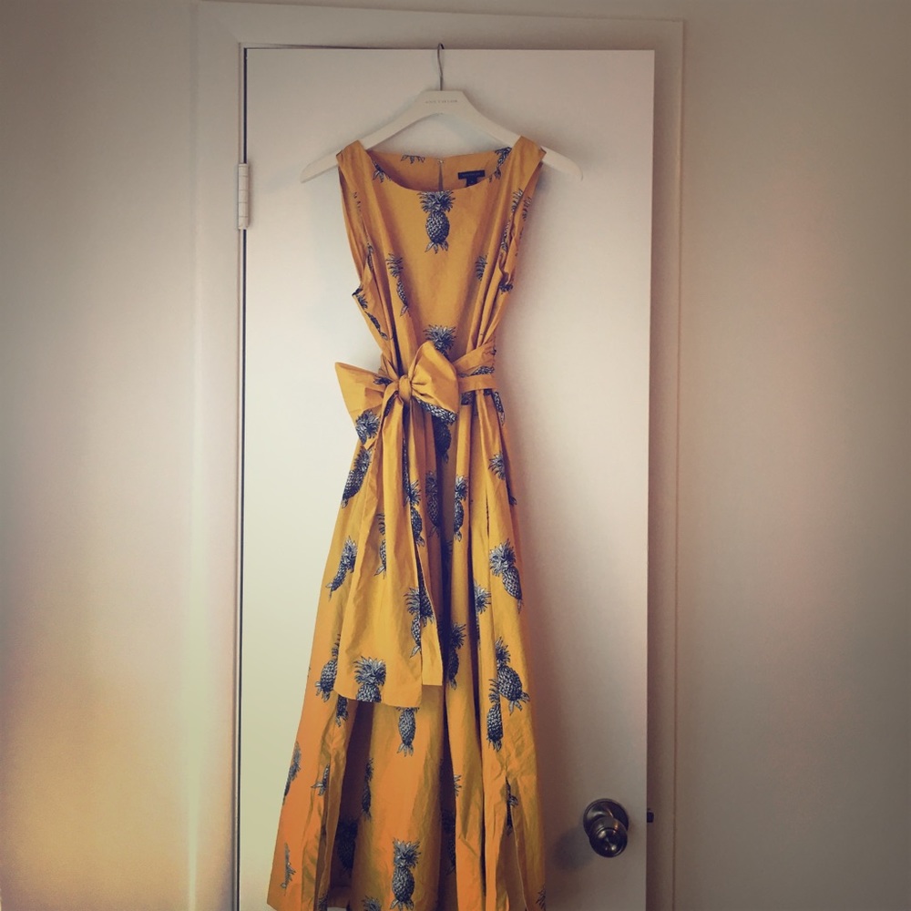 Pineapple Dress Ann Taylor