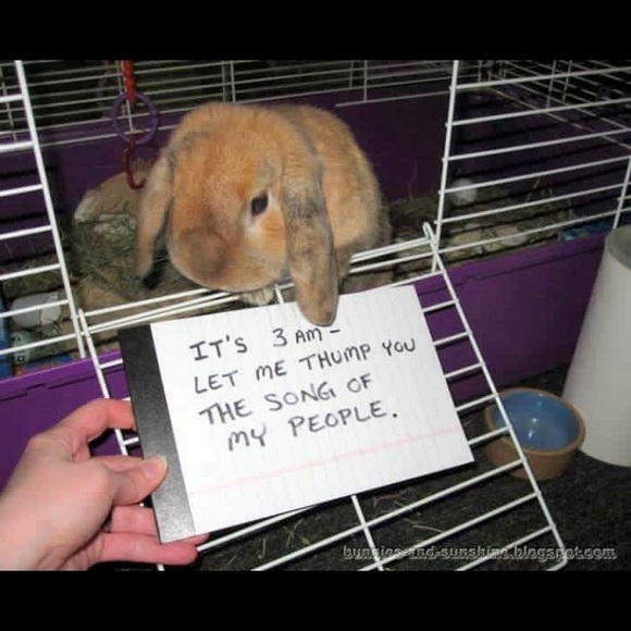 Meet your Posher, Jenny - Picture 5 of 5