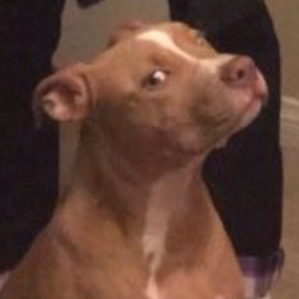 Meet your Posher, Marcus