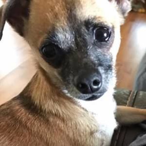 Meet your Posher, Melanie