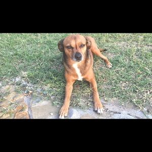 Meet your Posher, Cindy