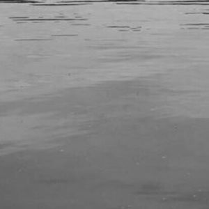 Meet your Posher, Cameron