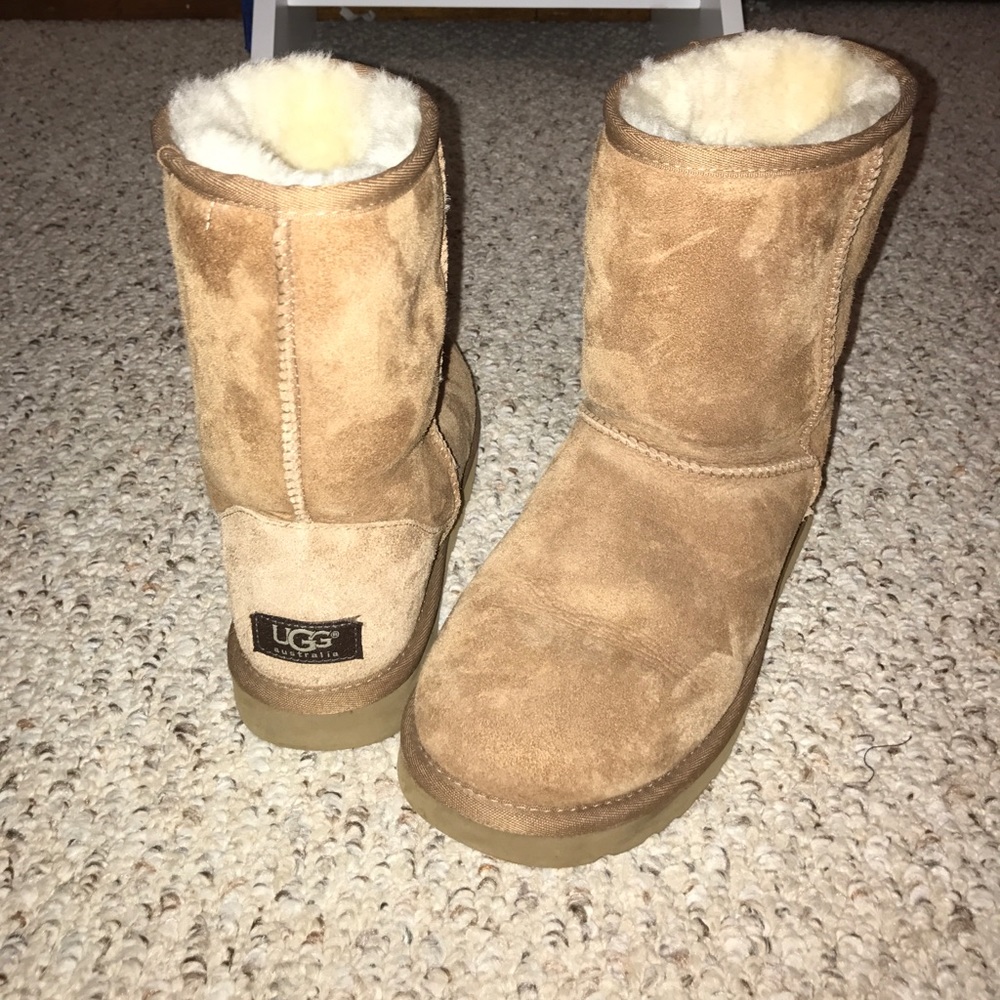 chestnut short ugg boots