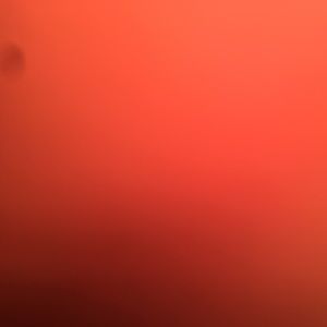 Meet your Posher, Brooklyn