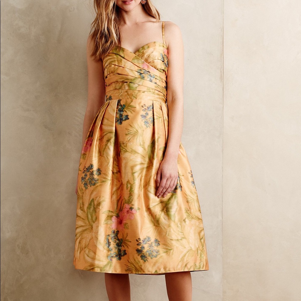 Anthropologie Dress by James Coviello