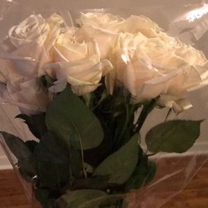 Meet your Posher, Maddy