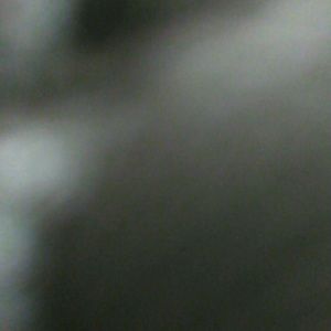 Meet your Posher, Darnell