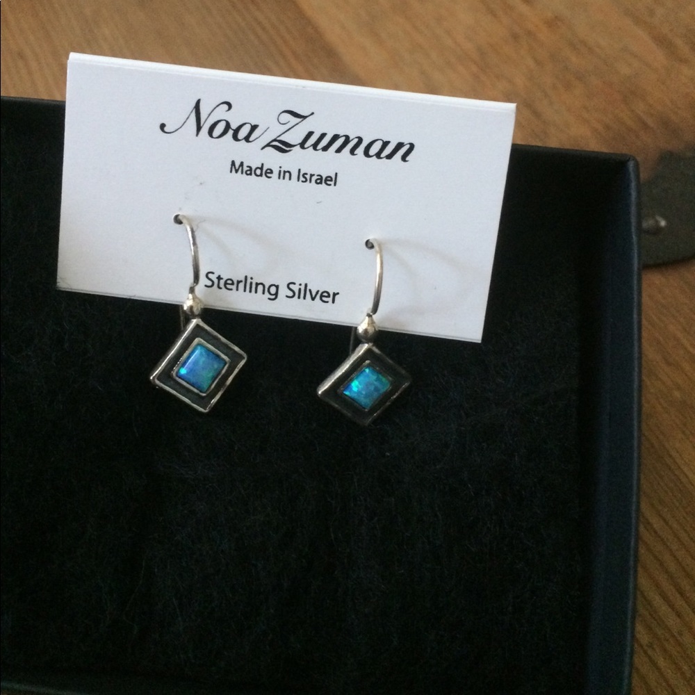 Silver earrings. Brand new.