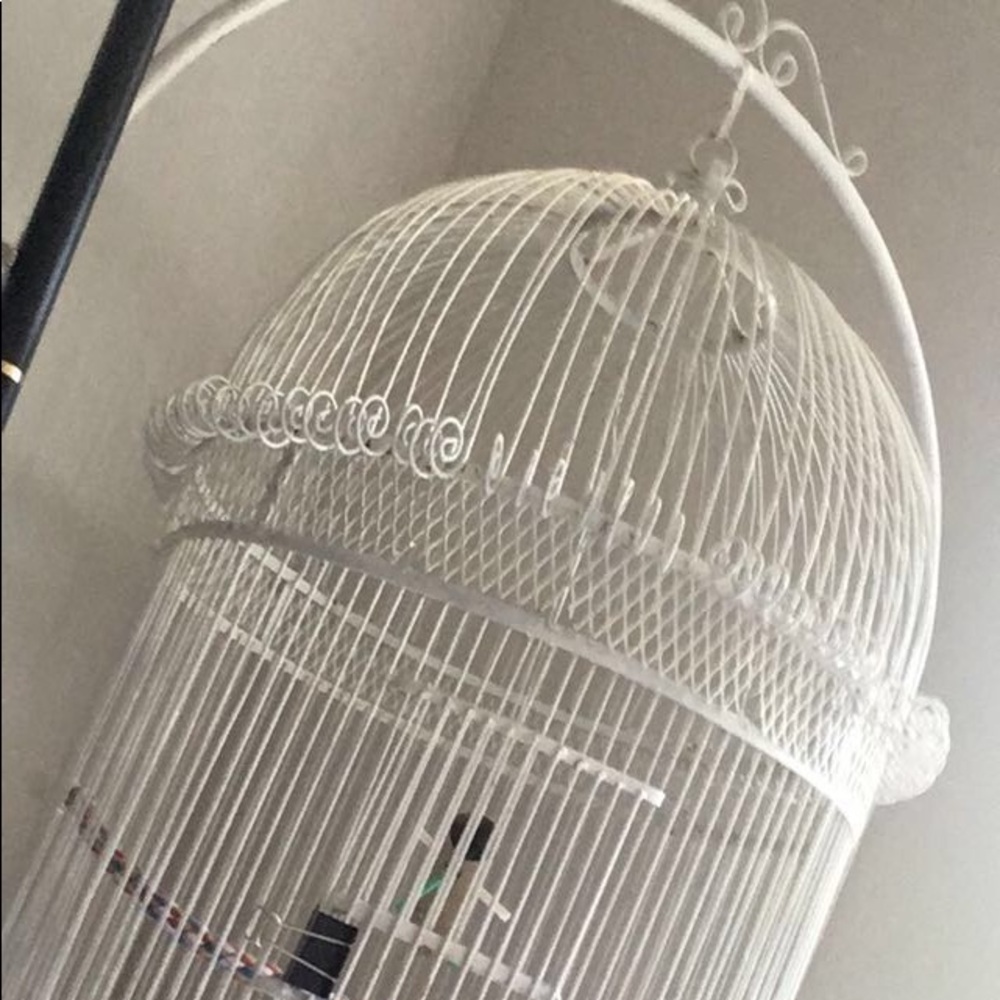 Vintage white bird cage