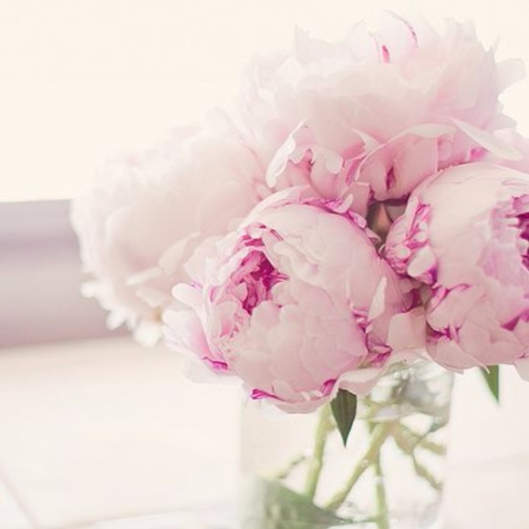 Meet your Posher, klindke - Picture 2 of 4