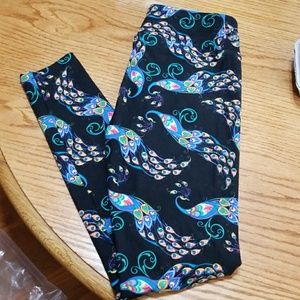 NWOT lularoe peacock leggings