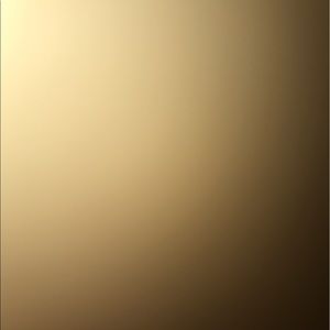 Meet your Posher, Ari