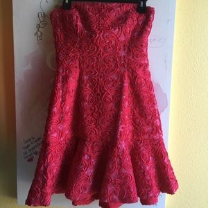 Gorgeous Strapless BCBG Dress