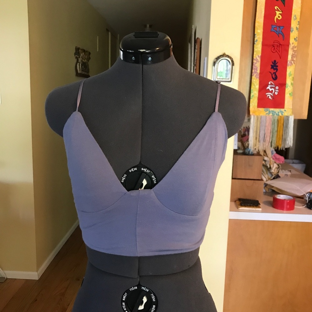 Aritzia Ling Bustier bralette