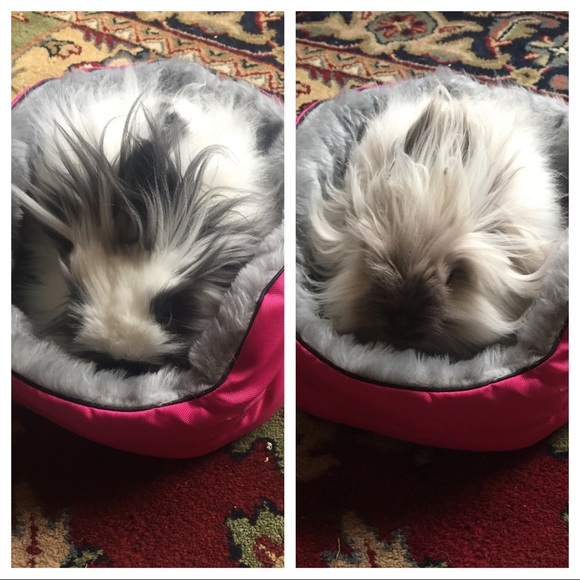 Meet your Posher - Picture 3 of 5