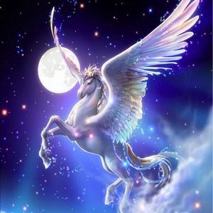 Meet your Posher, Daisy