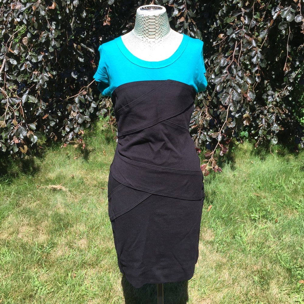 Black and Blue BCBG Short Sleeve Dress