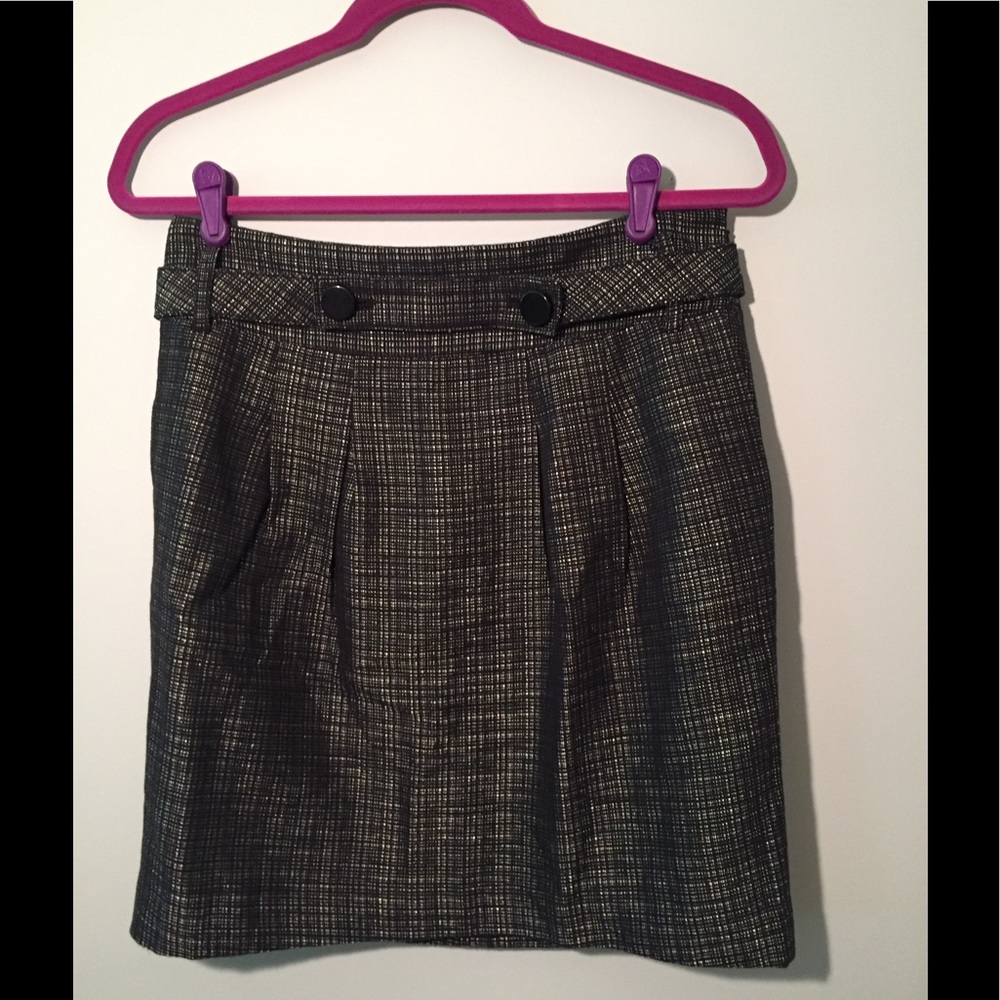 Ann Taylor Skirt