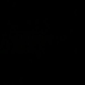 Meet your Posher, Deshun