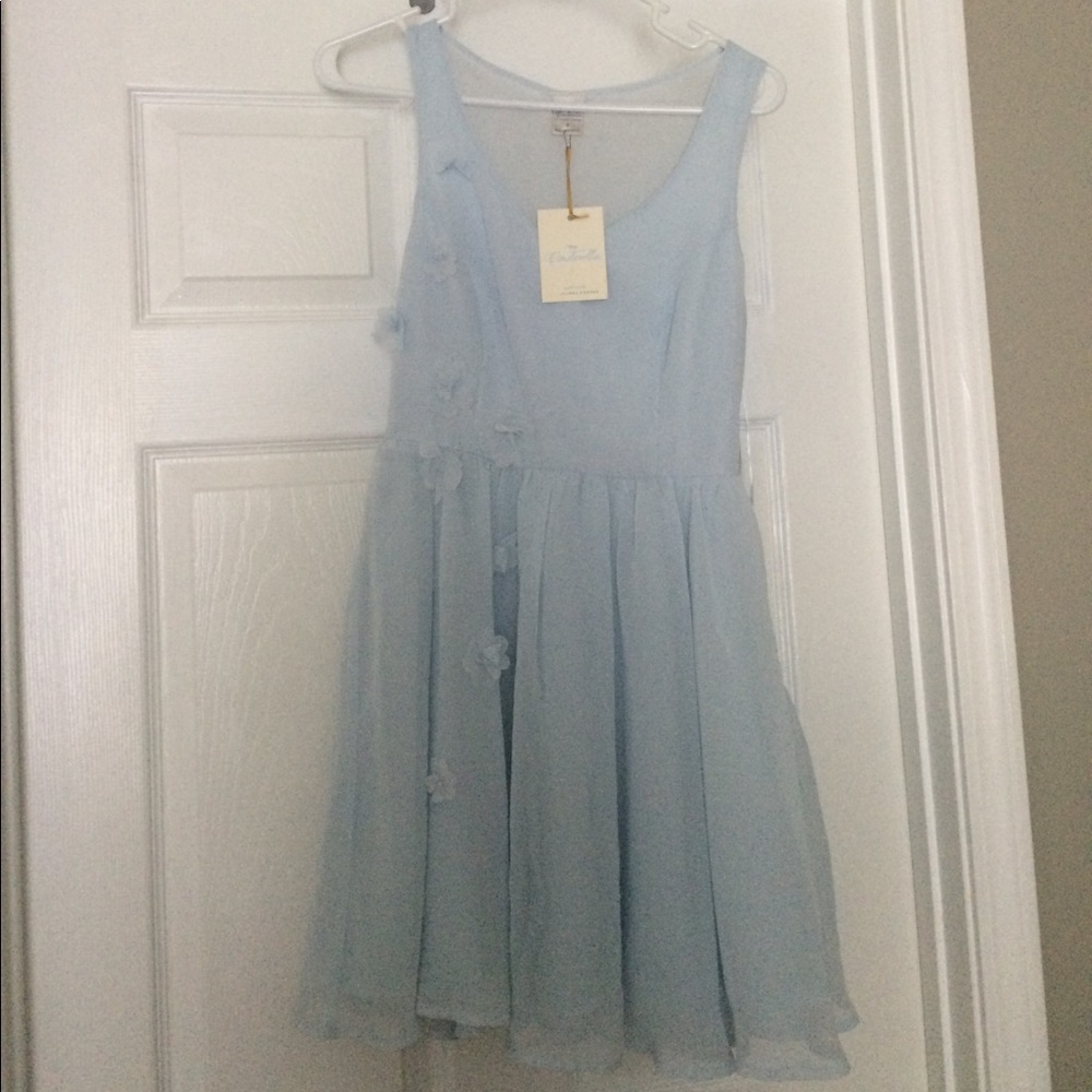 Cinderella Dress