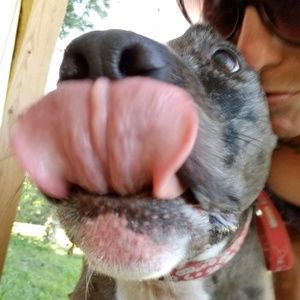 Meet your Posher, Kids