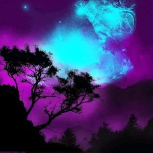 Meet your Posher, Ebony