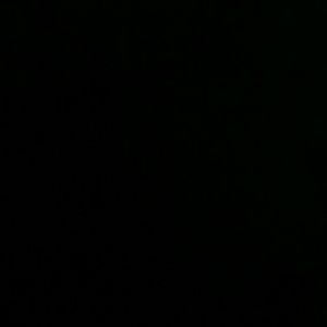 Meet your Posher, Skyler