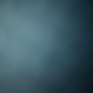 Meet your Posher, Alvin