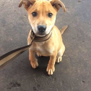 Meet your Posher, Ricky