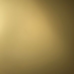 Meet your Posher, Ryane